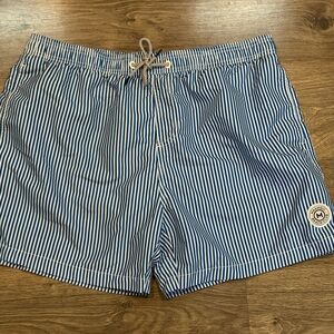 Men's Blue White Striped Swim Trunks
